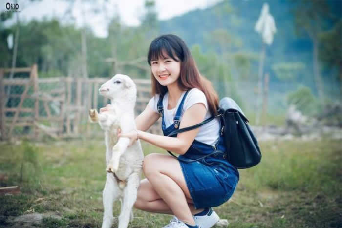 Trại Cừu Yên Thành Nghệ An